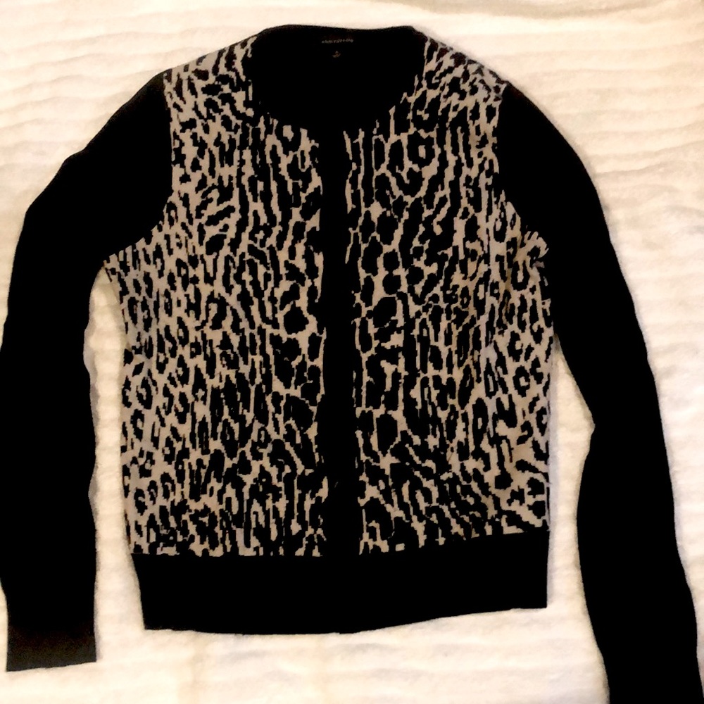 Ann Taylor sweater